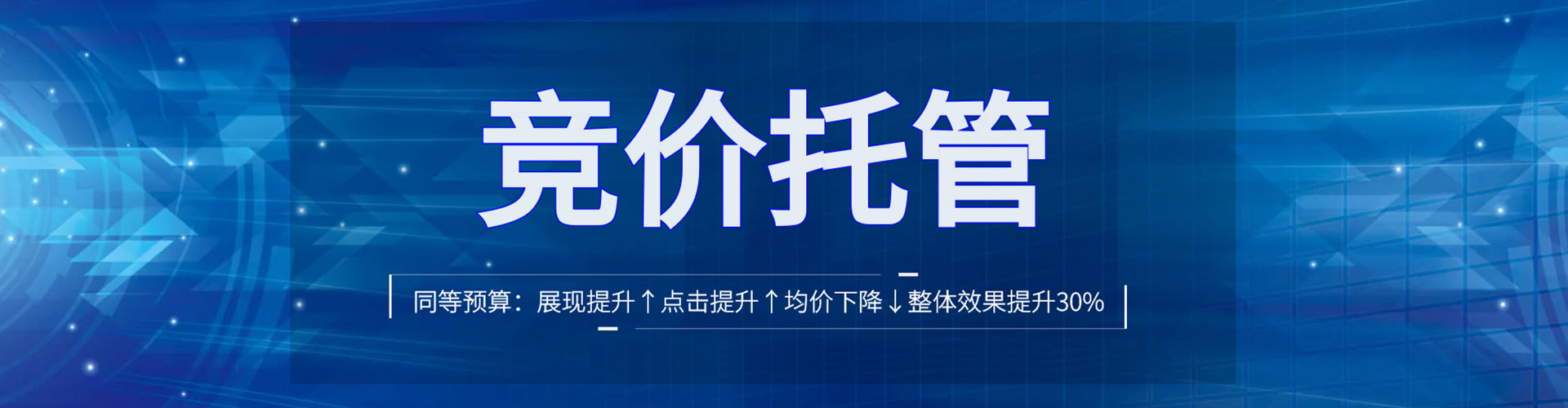 昭阳竞价托管